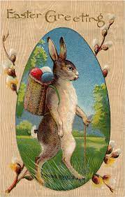 These easter bunny coloring sheets are cute and adorable and will bring a smile to your kid's face as he will have the liberty to use a range of bright. 22 Easter Bunny Images Free Updated The Graphics Fairy