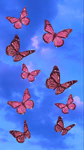 Cute patterns wallpaper wallpaper cute wallpaper backgrounds iphone wallpaper vintage cute wallpapers edgy wallpaper retro wallpaper red wallpaper aesthetic pastel wallpaper. Butterfly Wallpaper Butterfly Wallpaper Blue Butterfly Wallpaper Butterfly Wallpaper Iphone
