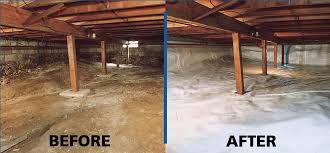 They can be found in 5 different ways: Top 3 Reasons To Maintain A Clean Crawl Space Attic Perfect