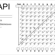 Kunci jawaban psikotes papi di 2020 cara menggambar belajar gambar. Tes Papi Kostick Pdf Cara Golden