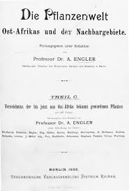 Image result for Pseudobromus engleri