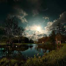 dolphelecat dark photography nature photography beautiful landscapes