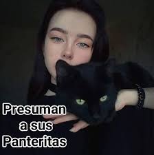 Cual representa tu michi I