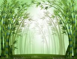 Bamboo Tree Of Life Art Bamboo Forest Bamboo Tree