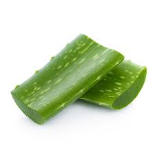 Ajouter à ce mélange de la petite pouzzolane pour assurer un bon drainage. Feuilles D Aloe Vera Walmart Canada
