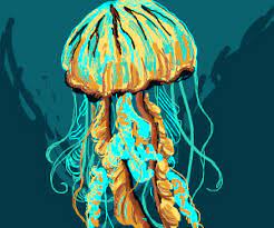 National audubon society field guide to north american seashore creatures. Lion S Mane Jellyfish Drawception
