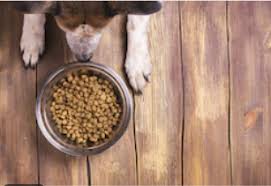Own an earthwise pet care franchise. Shop Now Earthwise Pet Allen