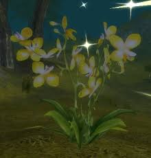 My soil has alfalfa meal. Alfalfa Weed Object Runes Of Magic Wiki