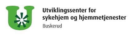For å forbedre luftkvaliteten i byen, har drammen kommune satt inn ekstra feiing på trafikkerte veier fra og med. Usht Logo Kursportal Drammen Kommune