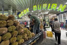 Ucok Durian: Dari Usaha Kecil Hingga Jadi Ikon Kuliner Medan - The Jakarta  Consulting Group (JCG)