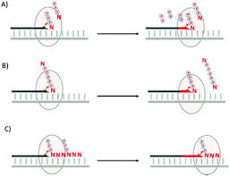 On this page provides a printer download connection hp deskjet 3835 driver for many types and also a driver scanner straight from the official so you are more beneficial to find the links you want. Recent Progress In Non Native Nucleic Acid Modifications Chemical Society Reviews Rsc Publishing Doi 10 1039 D0cs01430c