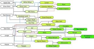 Forestry Tree Breeding Chart Imgur