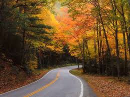 Check spelling or type a new query. 3 Day Easy Itinerary Along Virginia S Shenandoah Skyline Drive
