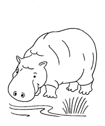 Untuk contoh lembar kosong gambar mewarnai di atas bisa di download di artikel mewarnai bunga sederhana. Contoh Gambar Mewarnai Gambar Kuda Nil Kataucap