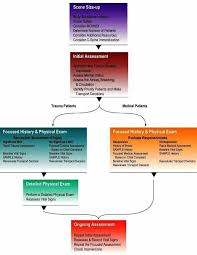 Diagrama De Flujo Impresionante Para La Evaluacion Del Paciente Emt Study First Aid Classes Emergency Medicine