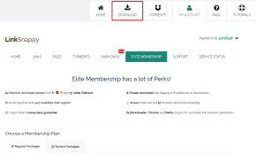 Maka kalian tidak perlu melakukan copy link download dari halaman. Tutorial Cara Download File Di Mega Dengan Idm Terbaru 2021