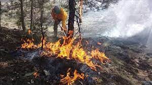 We did not find results for: Eelkiytgp2jobm