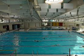 Piscine Les Dauphins A Grenoble Horaires Tarifs Et Telephone Guide Piscine Fr