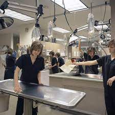 One of pune's oldest veterinary facilities is the place to bring your special pet for loving, experienced care by dr. Veterinary Clinic Vet Clinic In Pune à¤µ à¤Ÿà¤°à¤¨à¤° à¤• à¤² à¤¨ à¤• à¤ª à¤£