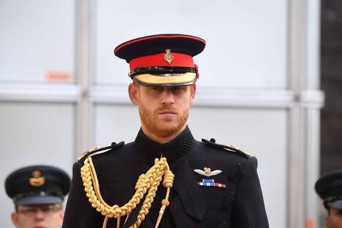 Harry tells military chiefs he lost his purpose and identity after leaving  Army | South Wales Guardian