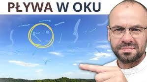 Daniel Koska's Instagram, Twitter & Facebook