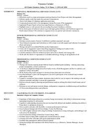 Financial services it audit consultant resume examples & samples. Professional Services Consultant Resume Samples Velvet Jobs