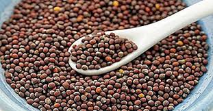 Aug 24, 2020 · se la nausea diventa molto forte (come succede spesso alle donne in gravidanza), cerca di capire se vomitare ti è proprio necessario. I Principali Paesi Produttori Di Semi Di Senape Del Mondo 2021