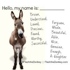That S The Cutest Thing I Ve Ever Seen Original Hello My Name Is Flash The Donkey Cute Donkey Donkey The Donkey