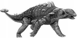 Dinosaur with spikes on back and tail. Body Shape Armoured Dinosaurs Natural History Museum