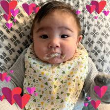 What are some good status builds in The Division 2?