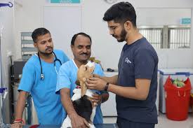 Also send a screenshot of the same to me soumya at 8527569096 so i can verify with the pets and vets. Crownvet The Clinic