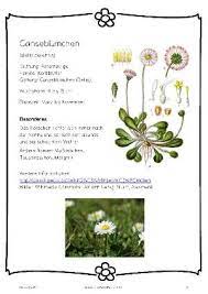 Check spelling or type a new query. Pin Auf Natur
