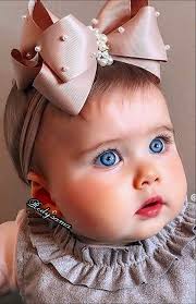 Dora Henriquez (dehenriquez12)