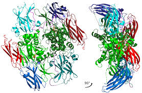 .of clotting factors as they assume you must have already learnt them in your pre neet days. Factor Xiii Wikipedia