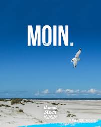 Moin Der Nordische Gruss Mehr Auf Unserer Moin Seite Moin Moin Moin Bilder Plattdeutsch Spruch