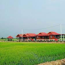 Sekinchan perdana residence, sekincan, 45400, malaysia. Farm Ville Cafe Homestay Home Facebook