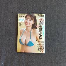 週刊プレイボーイ 2025年no 1 2 DVD付き 売買されたオークション情報 落札价格 【au payマーケット】の商品情報をアーカイブ公開