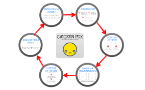 Chain Of Infection Chicken Pox By Julie Chau On Prezi