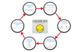 chain of infection chicken pox by julie chau on prezi