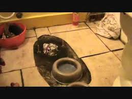 We did not find results for: How To Install A Toilet Setting The Wax Ring S Youtube