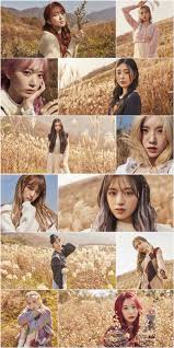 View full details sale from $41.15. Iz One S Yuri Pink Floral Cardigan For One Reeler Teaser Draws Attention Kpopmap