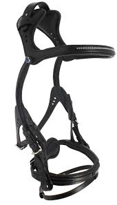 Bridon Freedom 2500 De Stubben Equipement Cheval Tenue D Equitation Harnais Pour Chevaux Anglais
