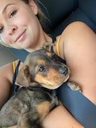 Truck driver's puppy rescue and care