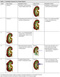 Image result for Genitourinary Trauma