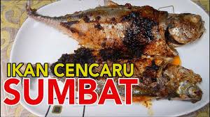 Ikan bakar sambal padu amp aku guna daun pisang bersama bahan rahsia cara masak rjnina. Resepi Ikan Cencaru Sumbat Sambal Youtube