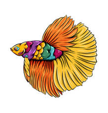 Why don't you let us know. Betta Fish Vector Images Over 540