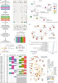 Now you can take that message one step further and affirm it through positive coloring pages and other printables. A Genetics Led Approach Defines The Drug Target Landscape Of 30 Immune Related Traits Nature Genetics