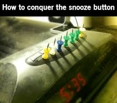 Or in the case of this post, over one hundred laughs? 14 Funny Pictures Sites To Make You Lol Freemake