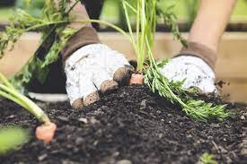 Get started for free today with watercoloring for beginners and much more. Gardening For Beginners 10 Easy Garden Tasks To Get Started