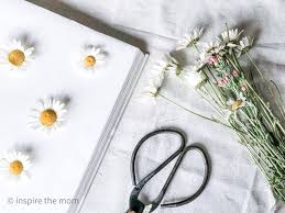 Check spelling or type a new query. A Quick Guide On How To Press Flowers In A Book